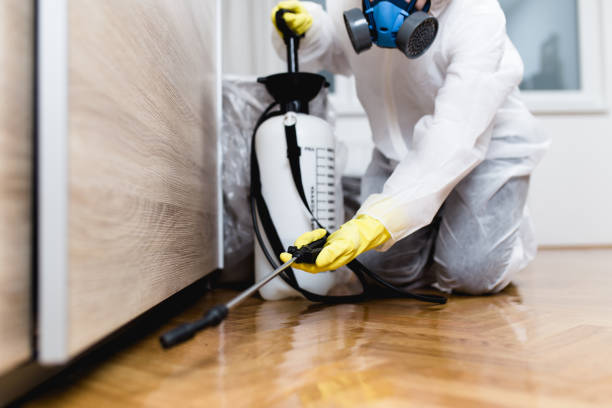 Best Local Pest Control Services  in Eagle Point, AL