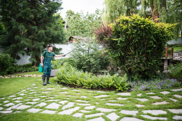 Best Wasp Removal Services  in Eagle Point, AL