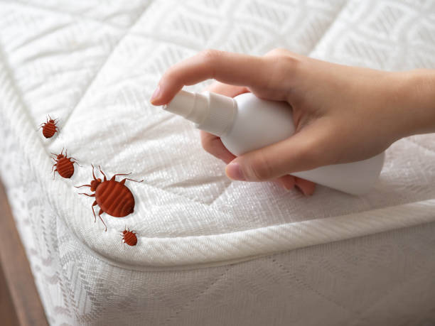 Best Commercial Pest Control Services  in Eagle Point, AL